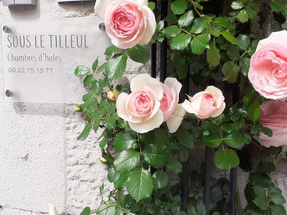 Sous Le Tilleul A Ruoms Exterior photo